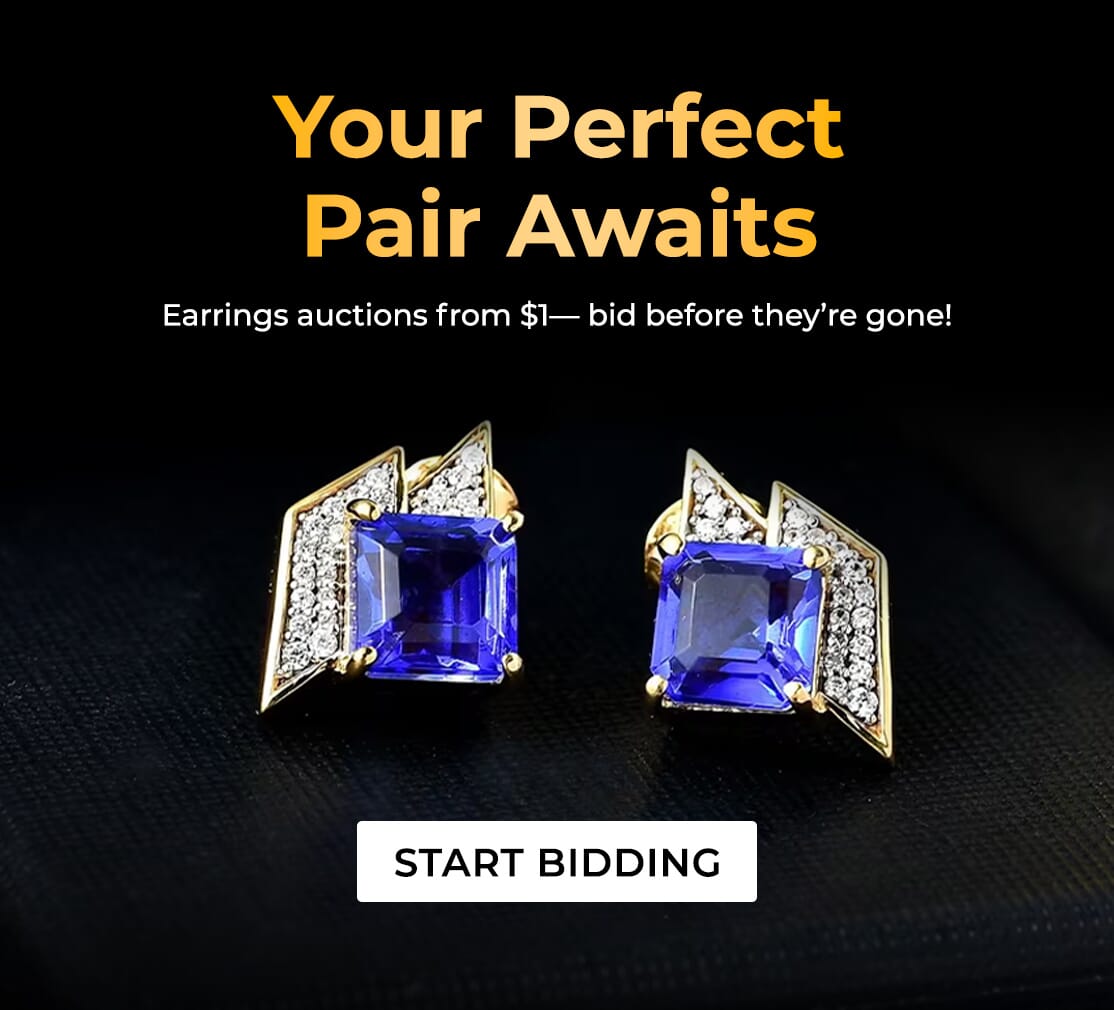Earrings $1 Auctions