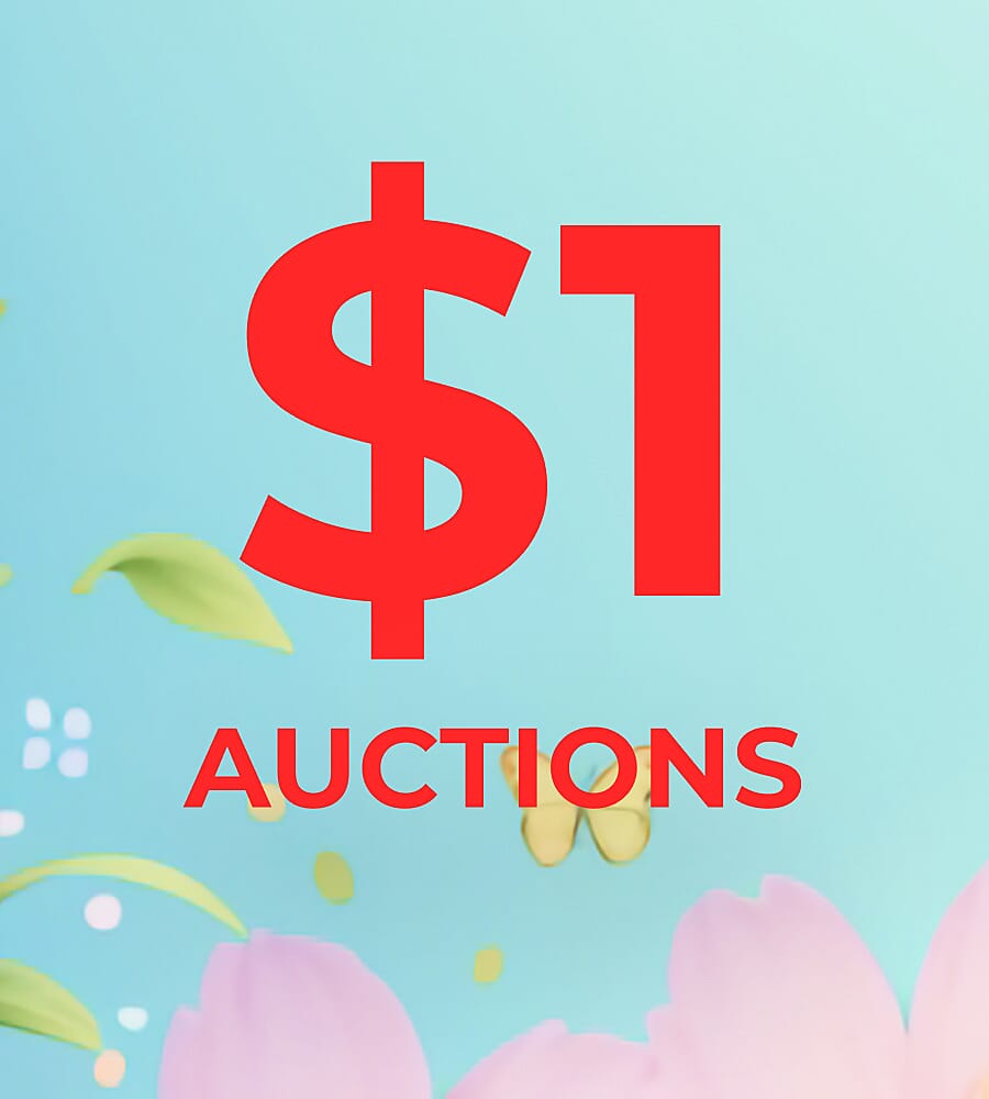 $1 Auctions