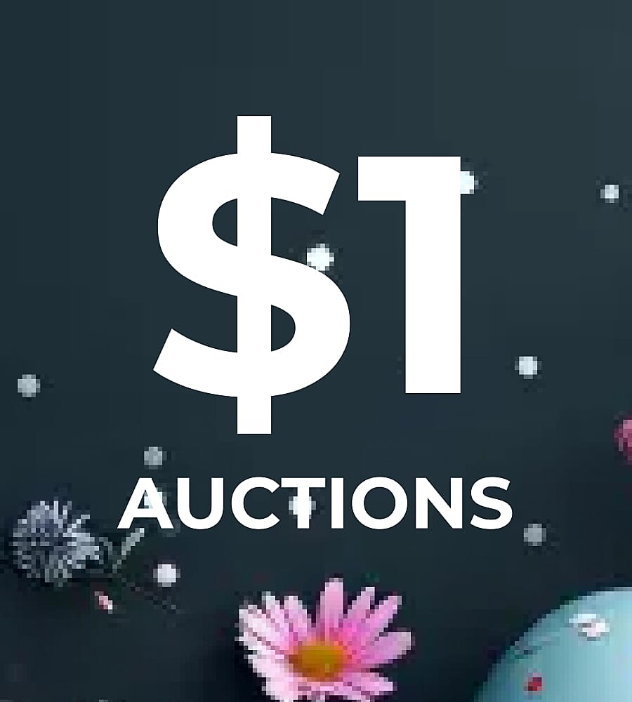 $1 Auctions