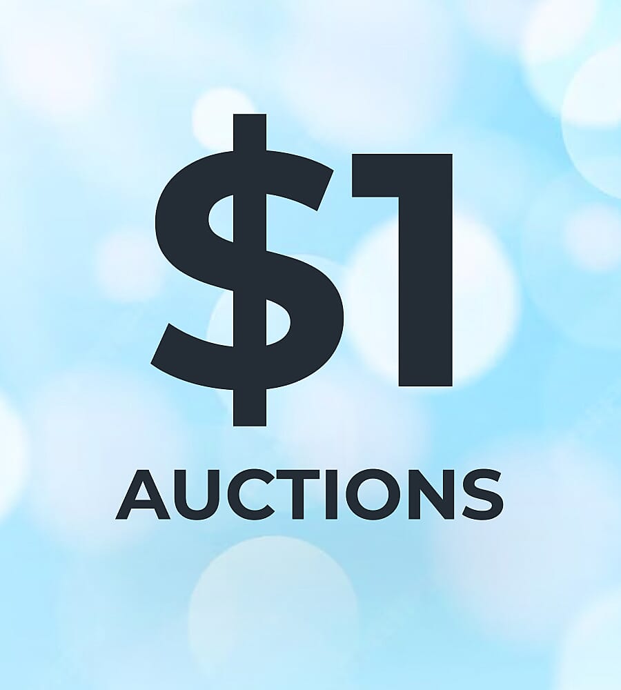 $1 Auctions
