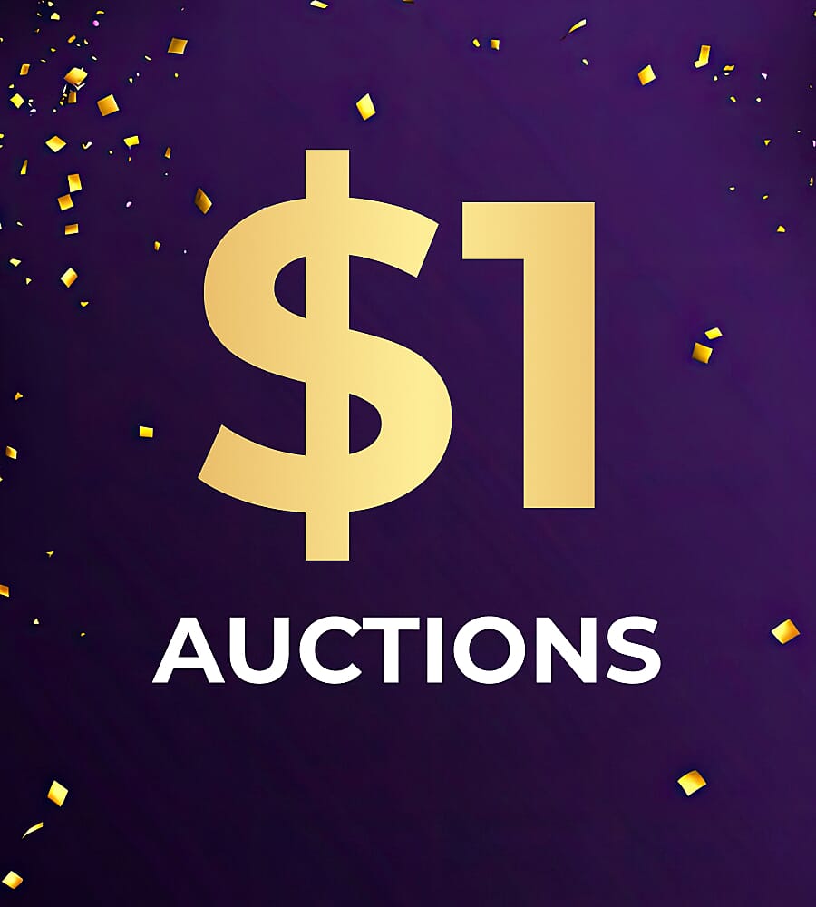 $1 Auctions