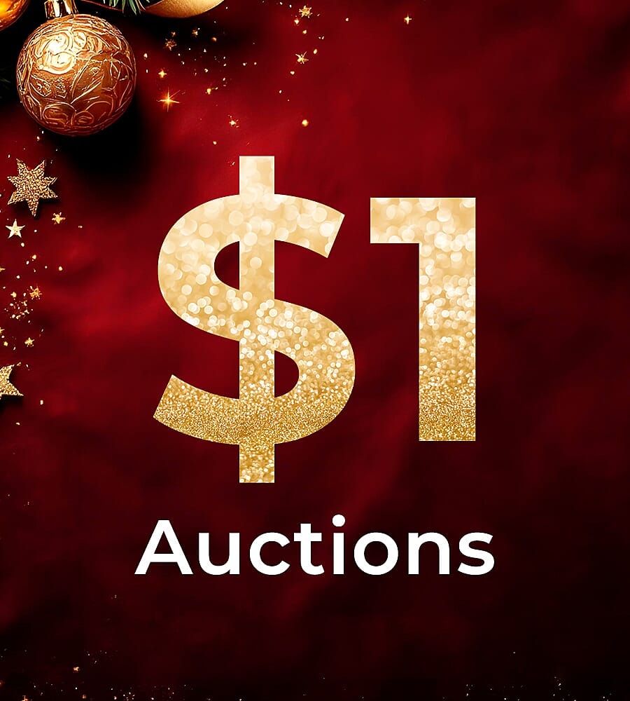 $1 Auctions