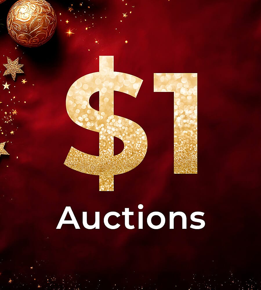 $1 Auctions
