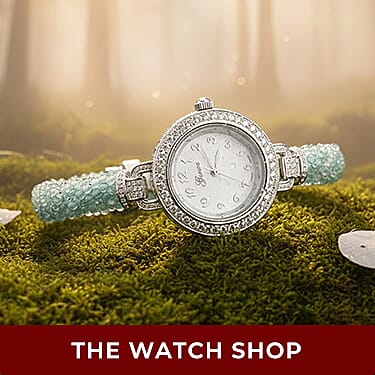 The Watch Shop