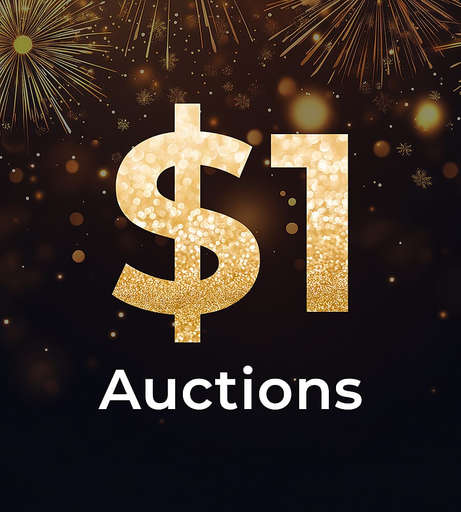 $1 Auctions