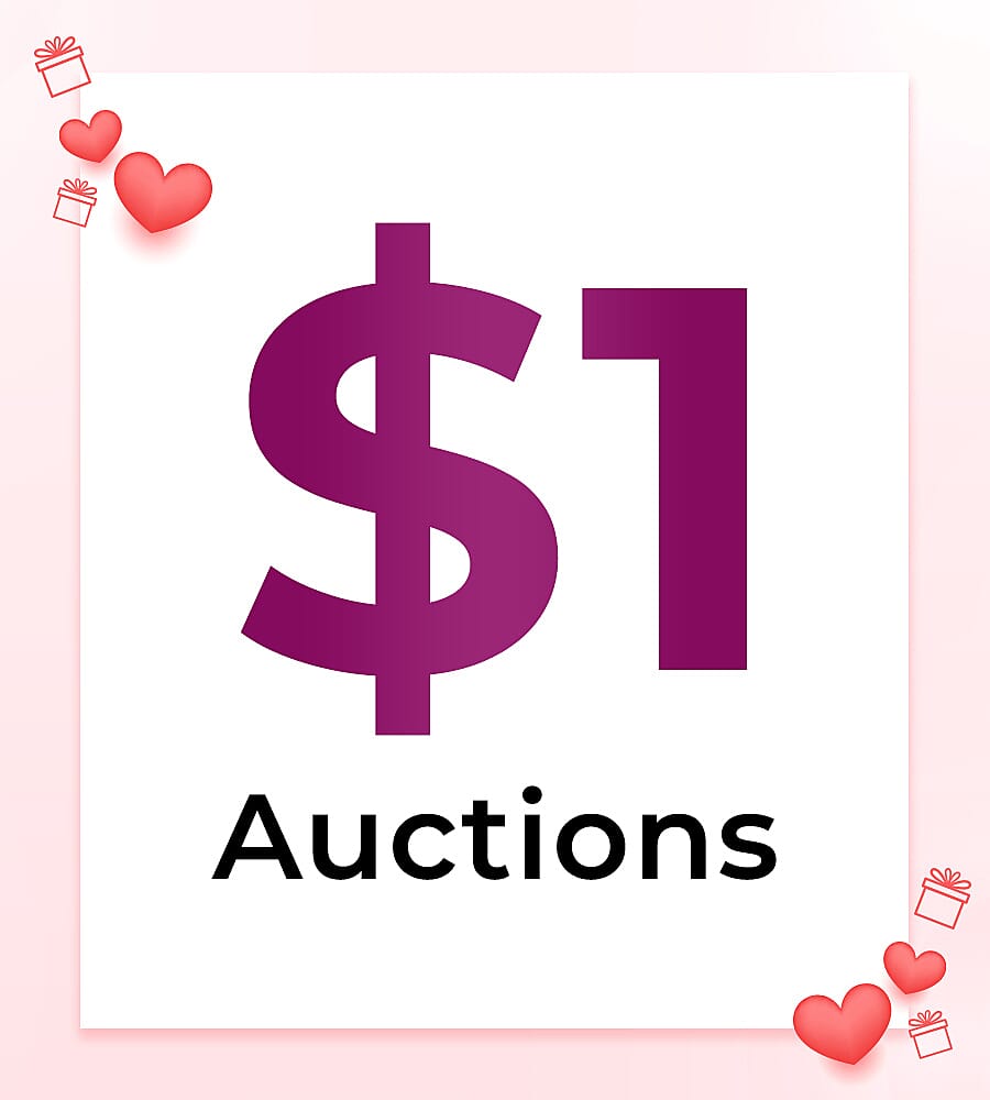 $1 Auctions
