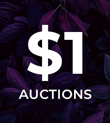$1 Auctions