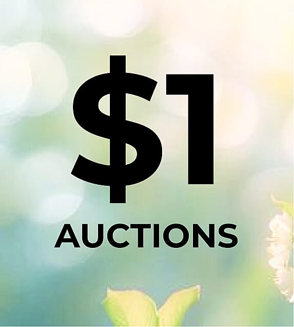 $1 Auctions