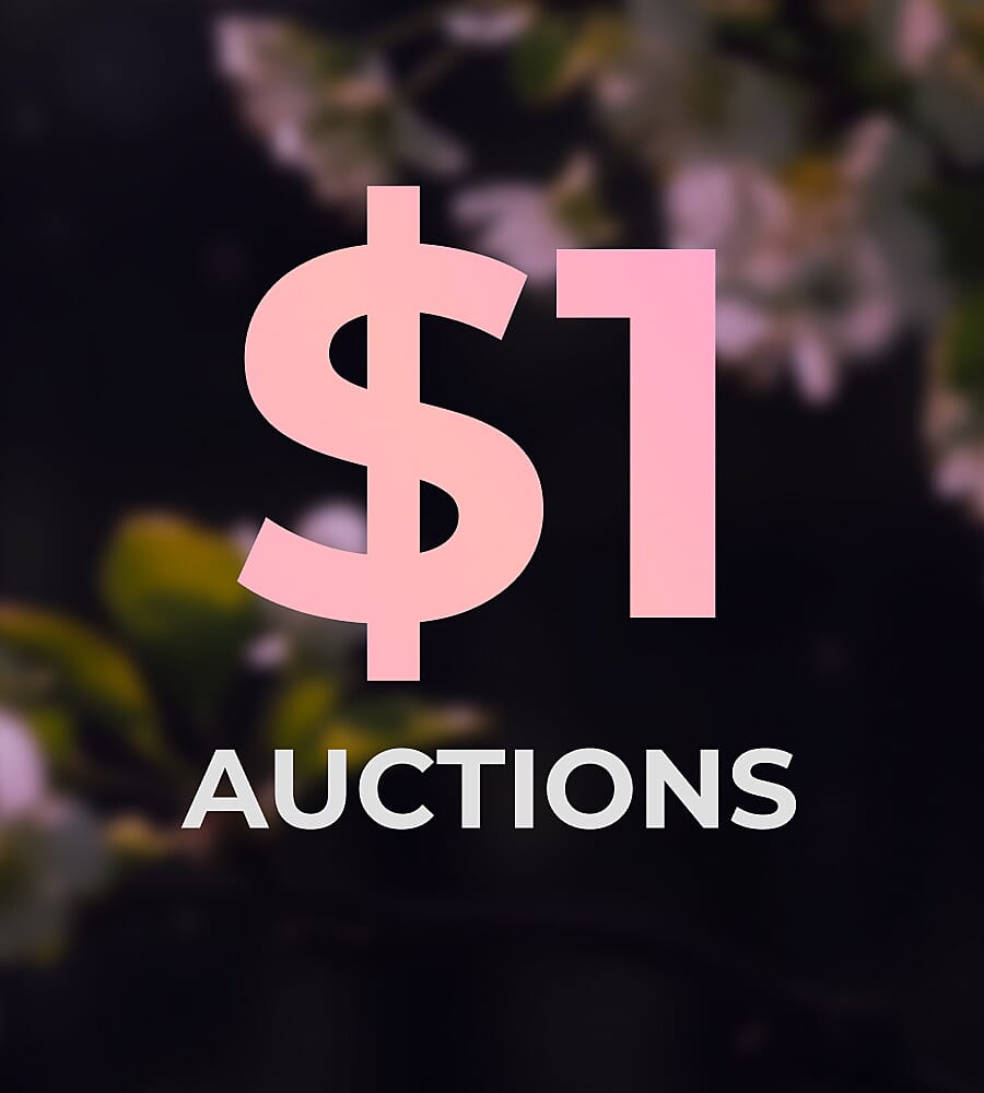 $1 Auctions