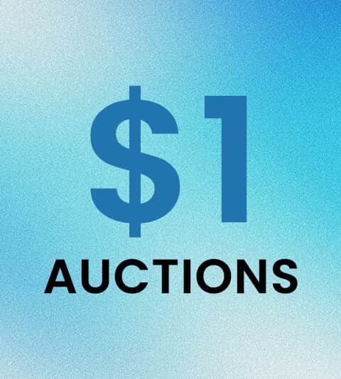 $1 Auctions  Cat1