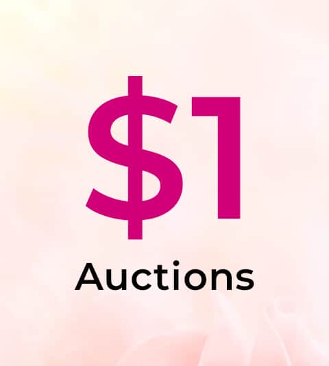 $1 Auctions  Cat1