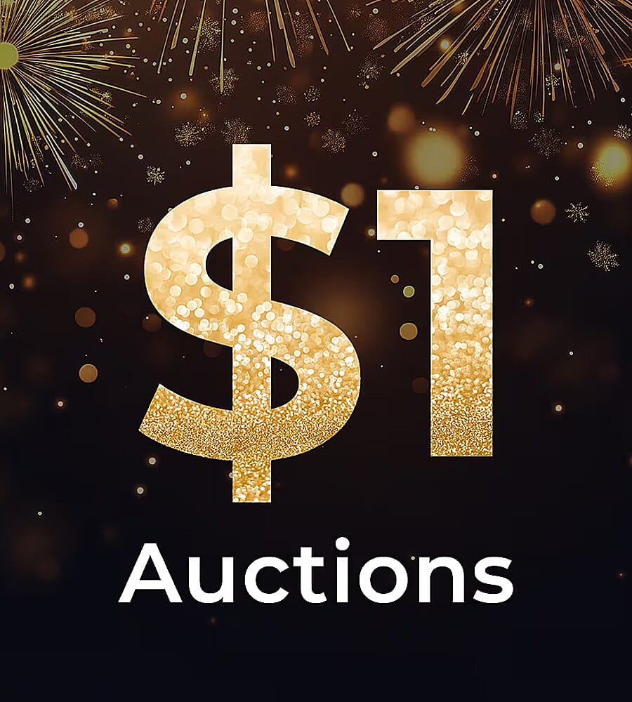 $1 Auctions