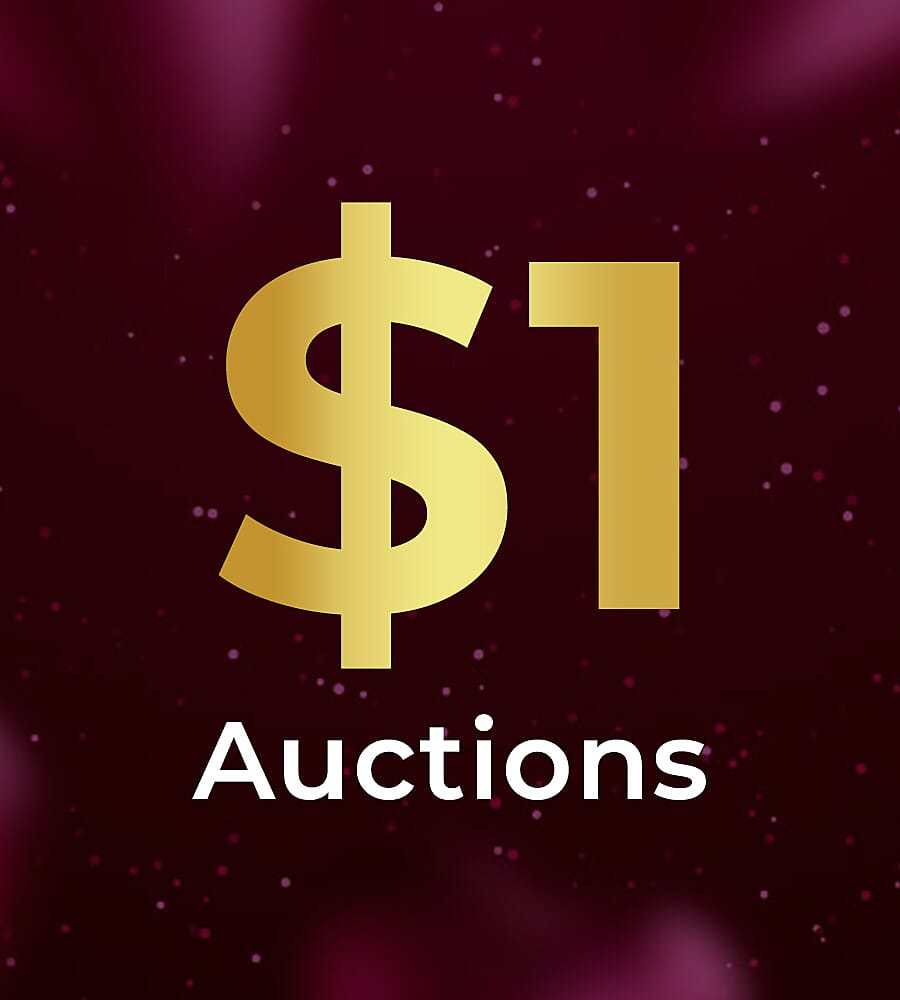 $1 Auctions