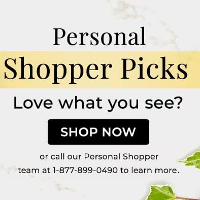 Personal Shopper Trey