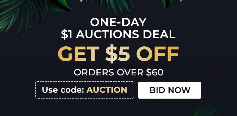 ONE-DAY $1 AUCTIONS DEAL