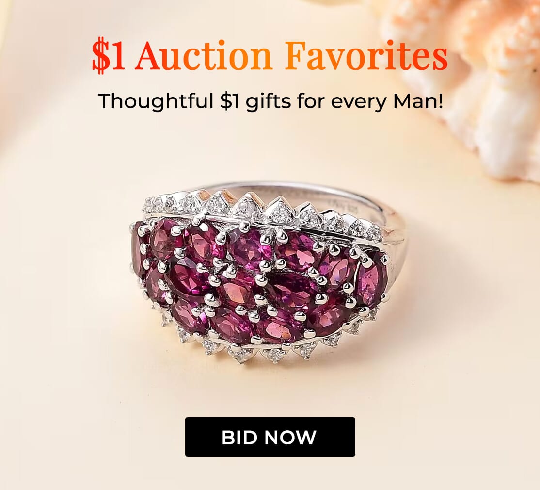 $1 Auction Favorites – Bid Now