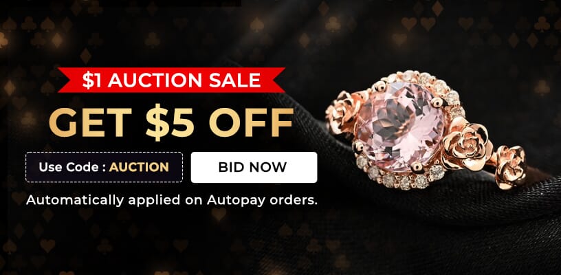 $1 AUCTION SALE