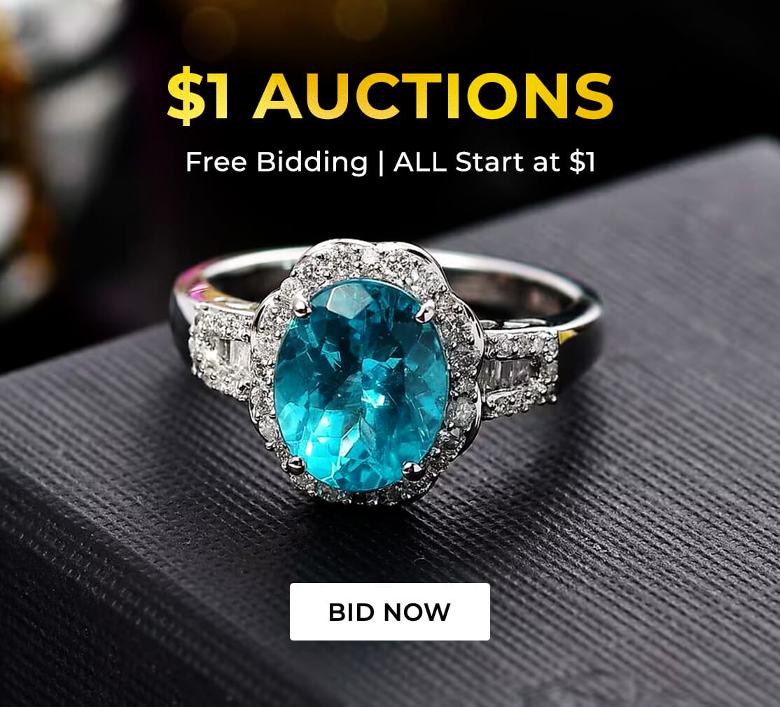 $1 AUCTIONS