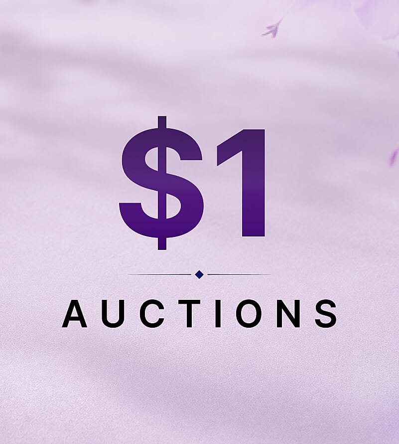 $1 Auctions