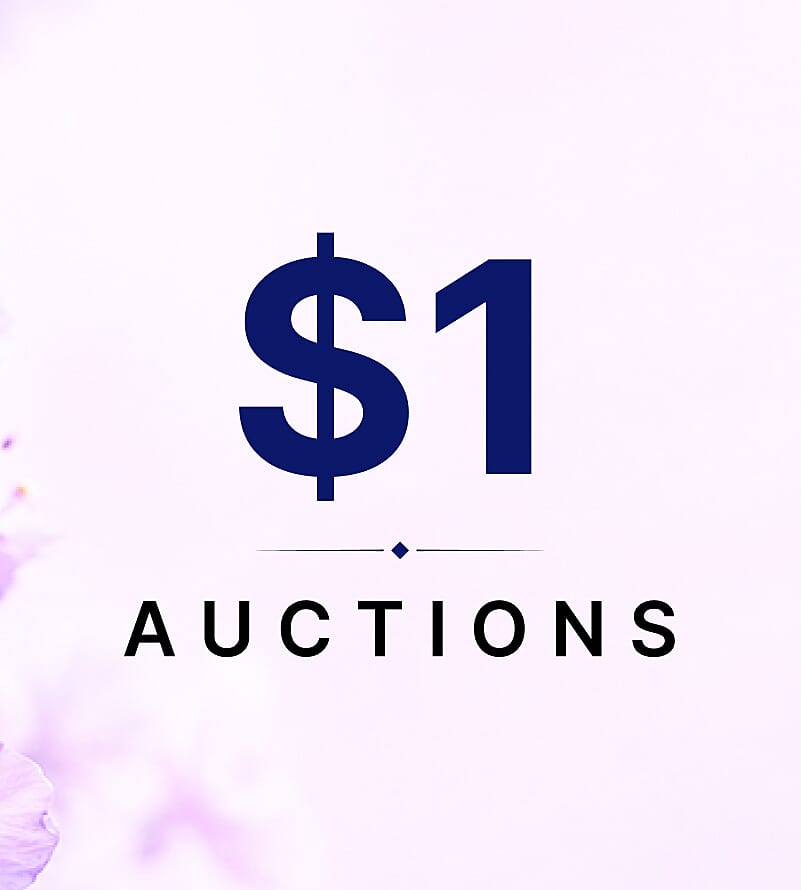 $1 Auctions