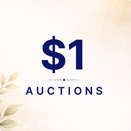 $1 Auctions