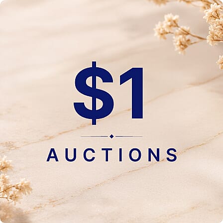 $1 Auctions