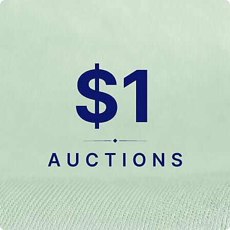 $1 Auctions