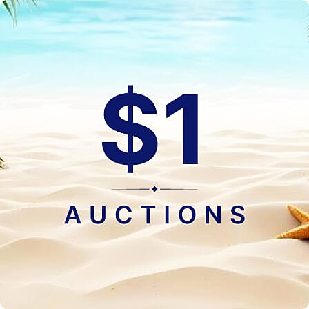 $1 Auctions