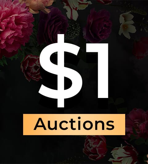 $1 Auctions