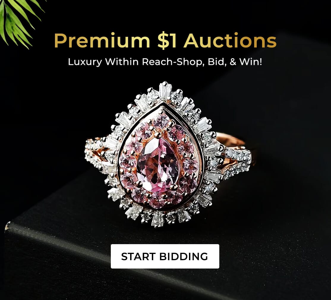 Earrings $1 Auctions