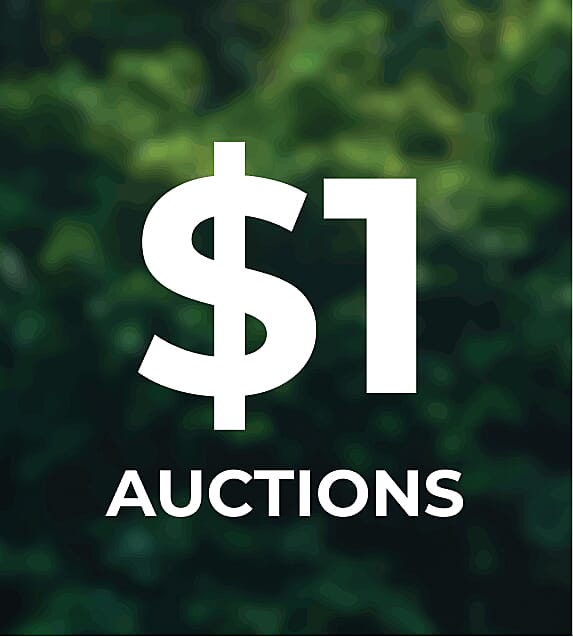 $1 Auctions