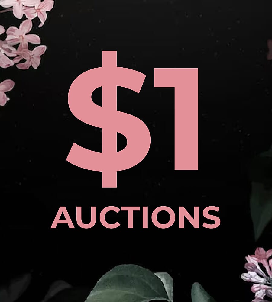 $1 Auctions