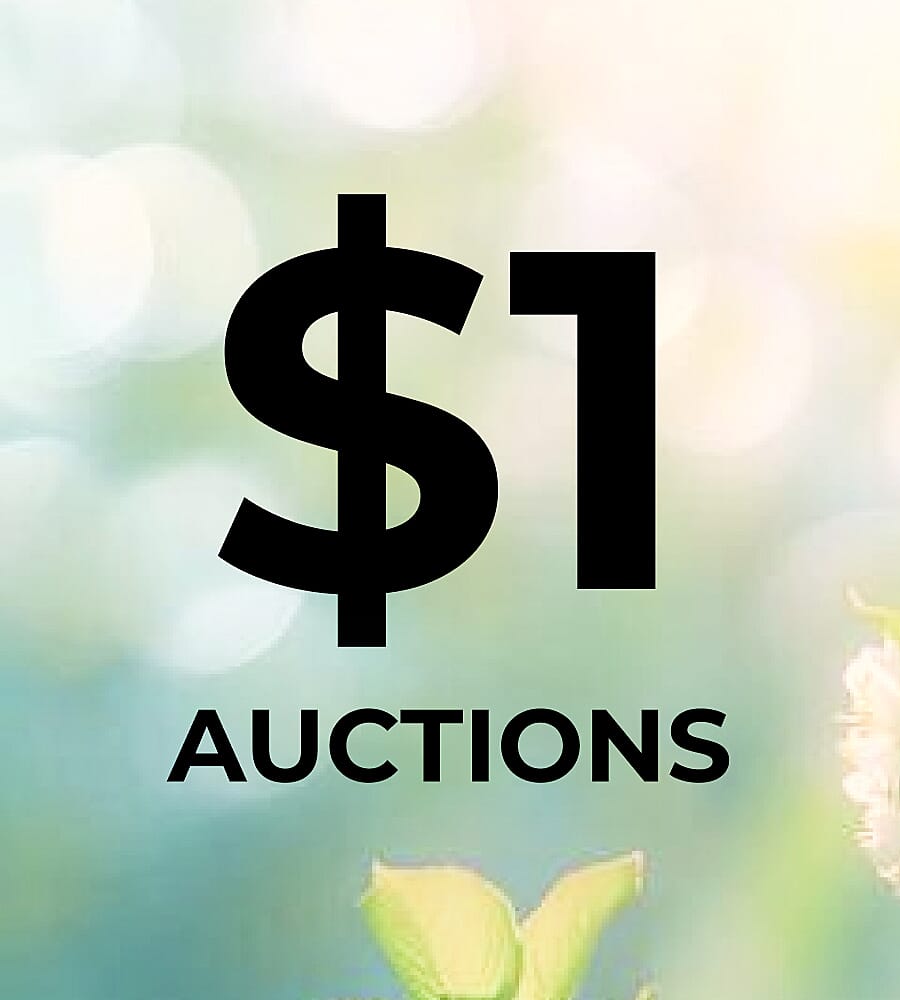 $1 Auctions