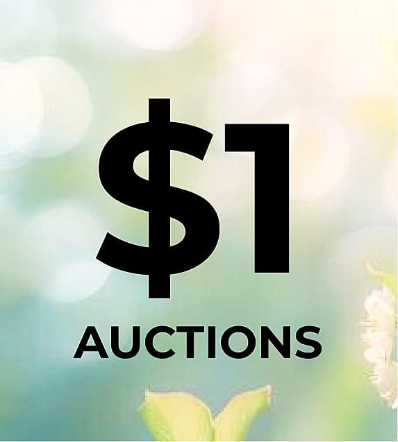 $1 Auctions