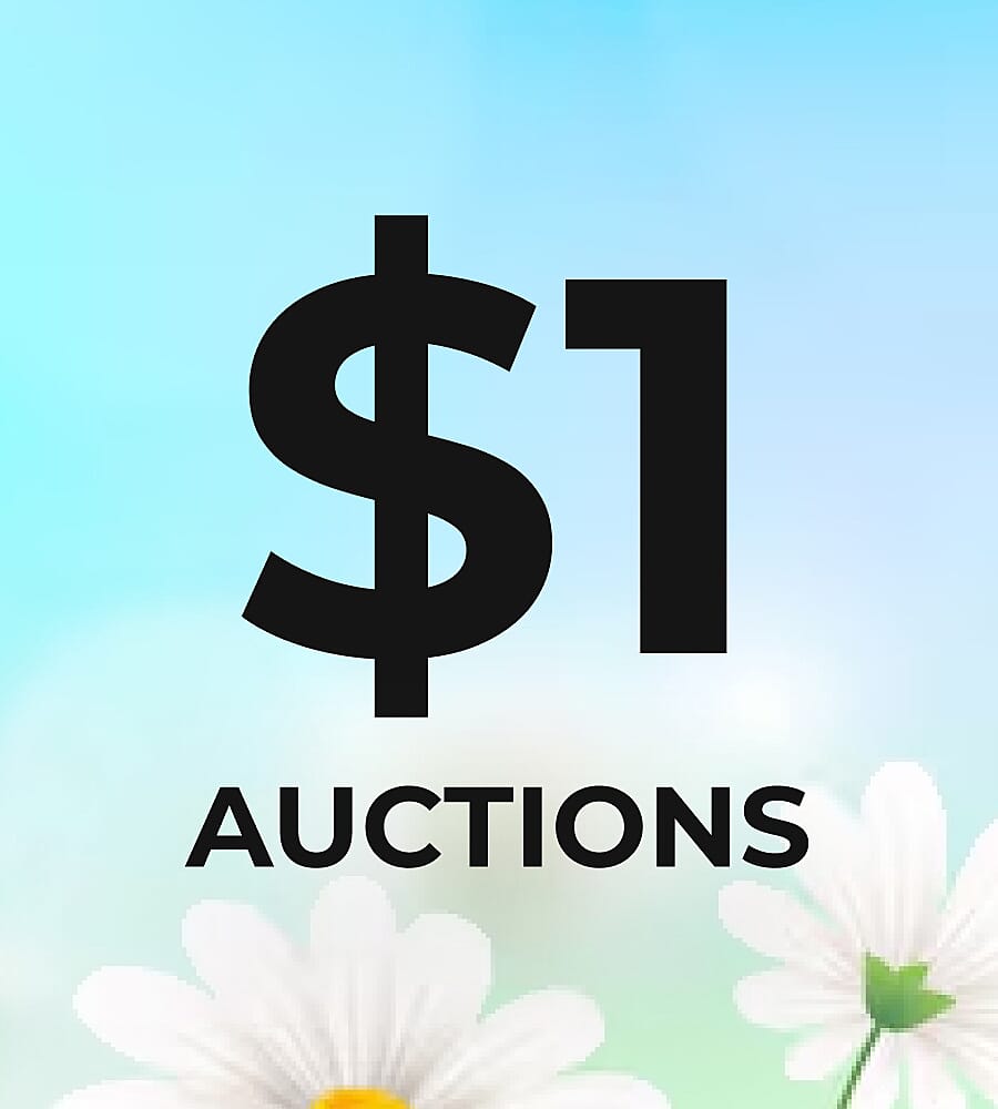 $1 Auctions