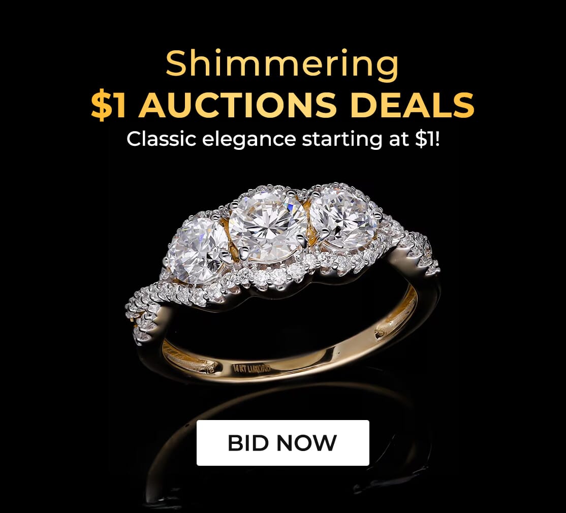 $1 AUCTION DEALS
