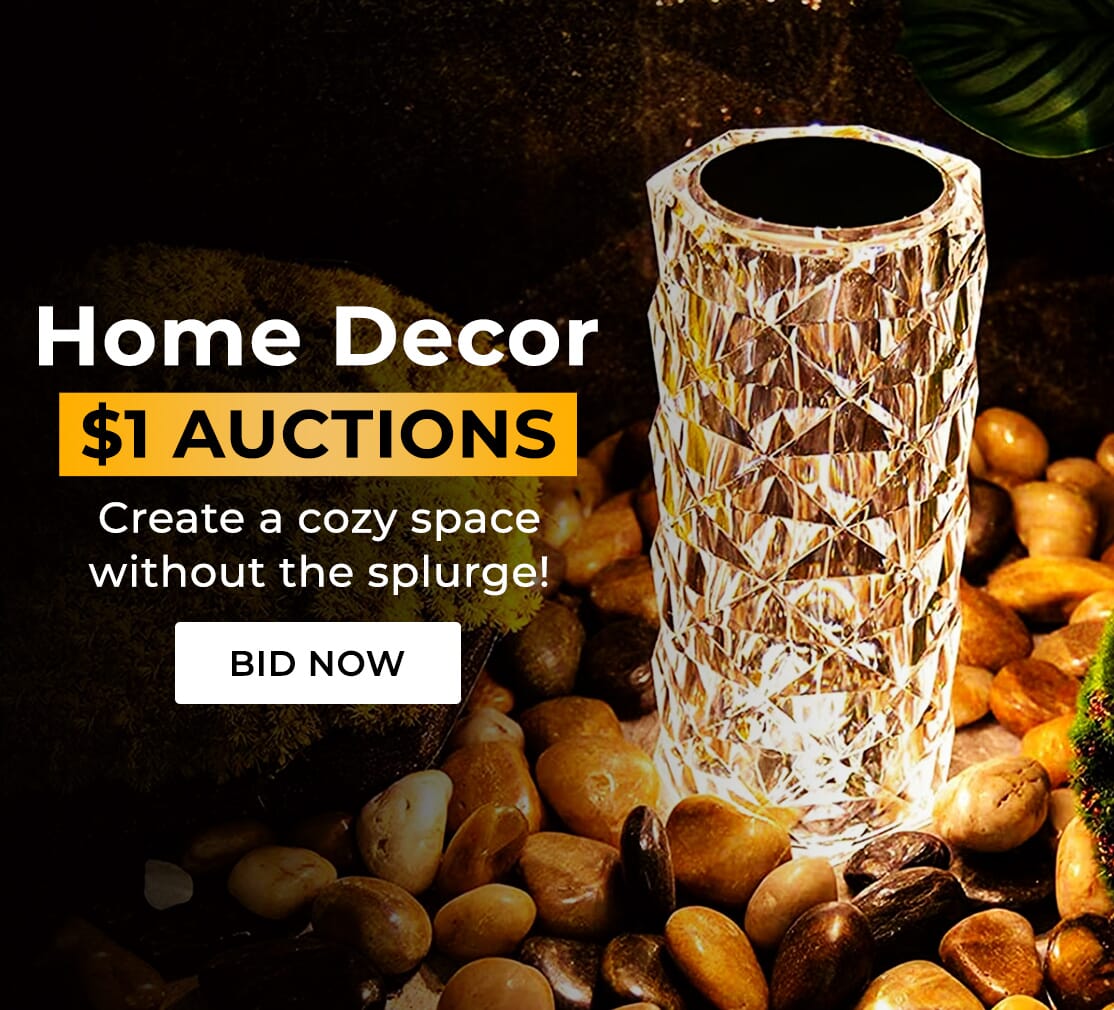 $1 AUCTIONS