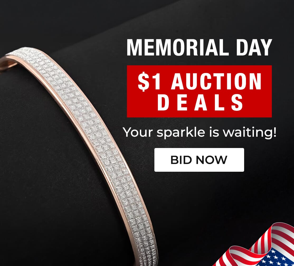 $1 AUCTION DEALS