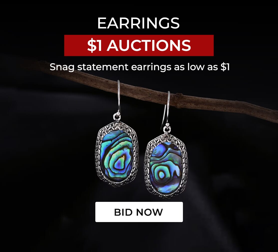 EARRINGS $1 AUCTIONS