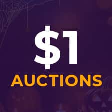 $1 Auctions  Cat1