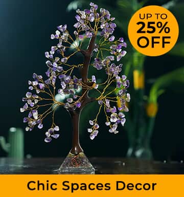 Chic Spaces Decor