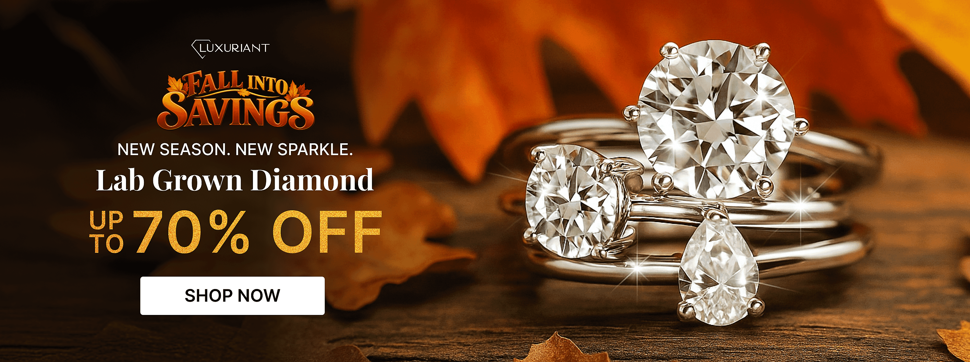 FALL INTO SAVINGS