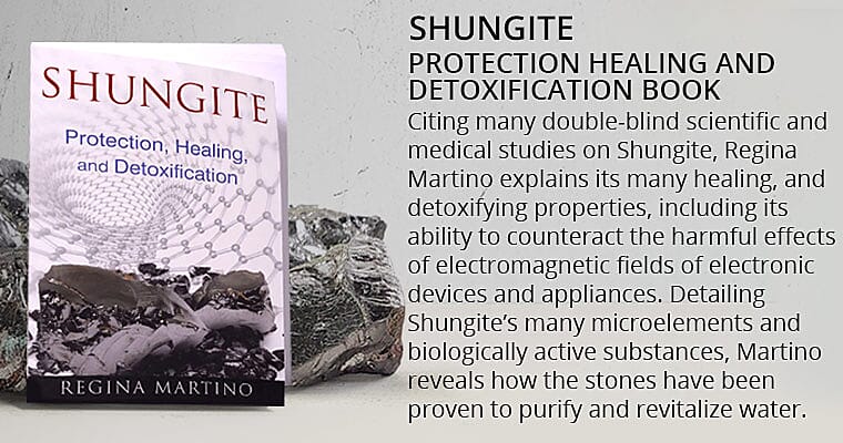 Shungite Protection Healing and Detoxification Book Banner
