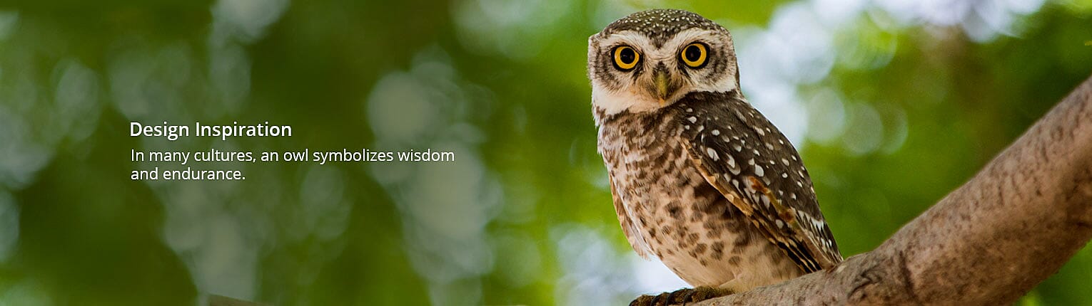 The Beautiful Piece of Art