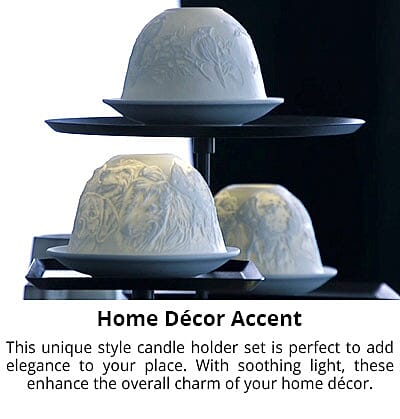Home DÃ©cor Accent