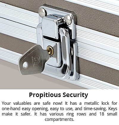 Propitious Security 