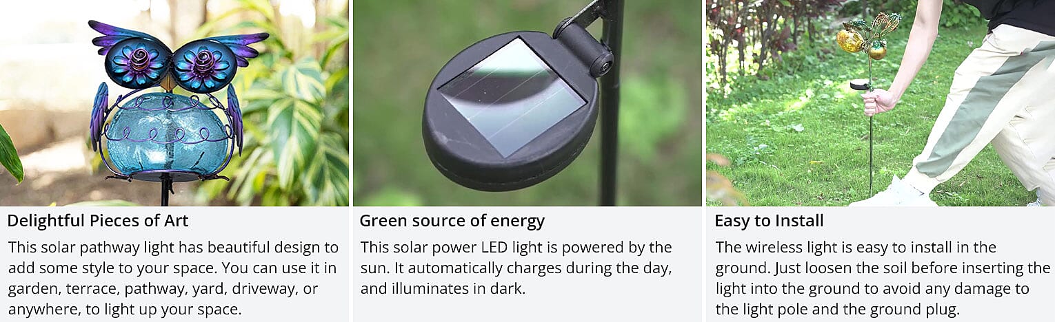 Delightful Pieces of Art Banner