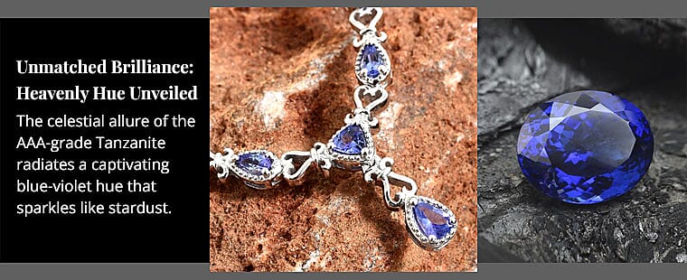 Exquisite Craftsmanship Banner