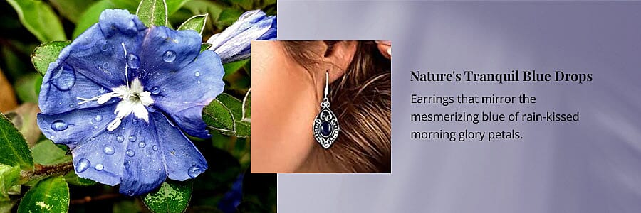 Nature's Tranquil Blue Drops Banner