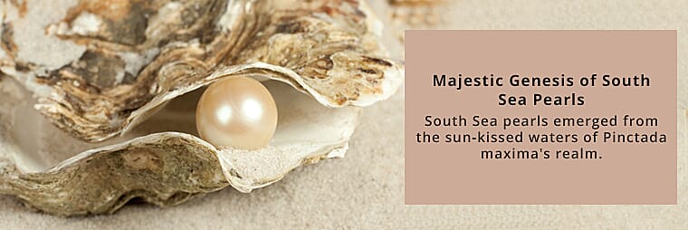 Captivating Colors that Mesmerize Your Senses Banner